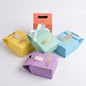 The Classic Flap Closure Presentation Bag